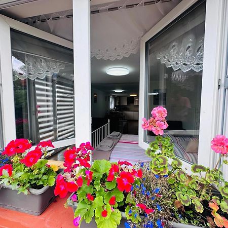 Apartament Bukowy Kłodzko Extérieur photo