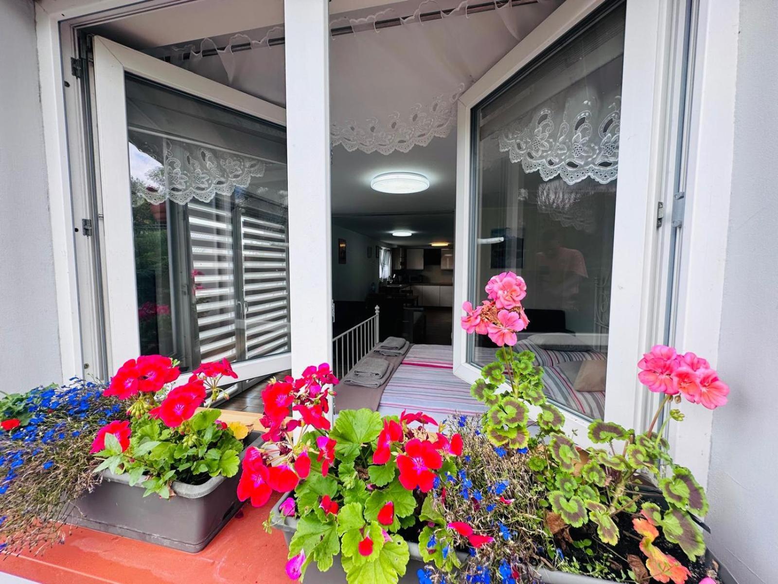 Apartament Bukowy Kłodzko Extérieur photo